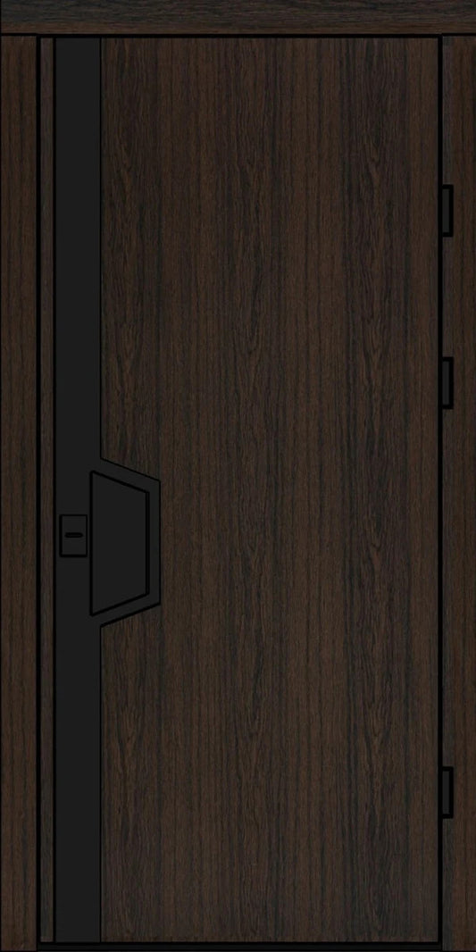 Usa metalica apartament Astra