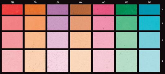 Finisaj decorativ pentru interior Muro Naturale