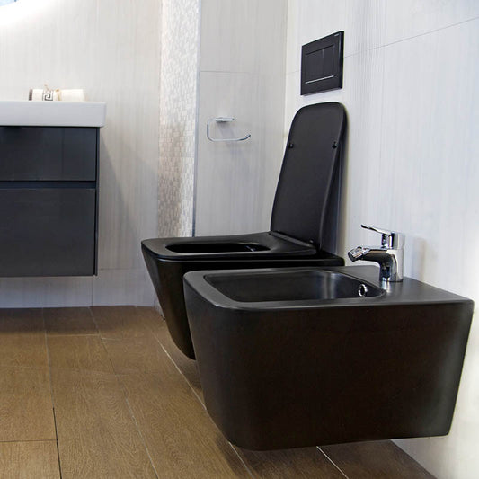 Set vas WC suspendat, Fluminia, Paris, rimless, cu capac quick release si soft close, negru mat