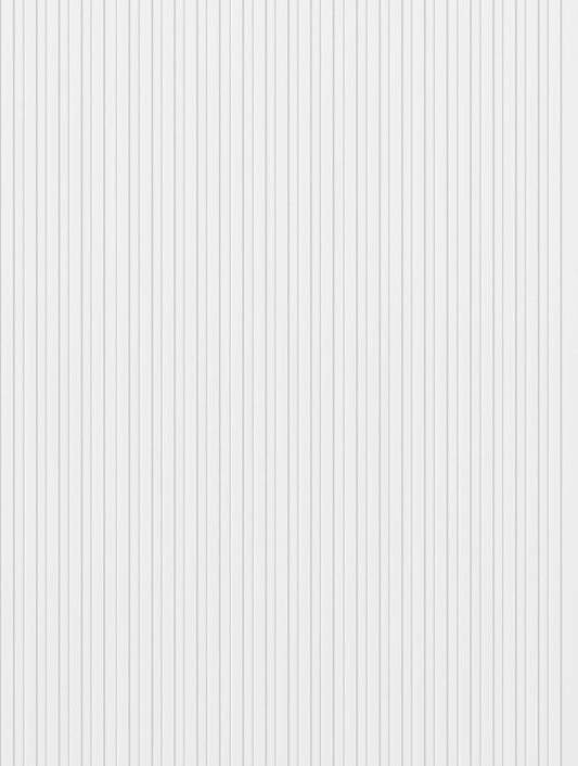 Riflaj Decorativ JC 971-W