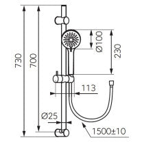 Set para de dus, Ferro, Rillo, cu bara, suport si furtun, auriu lucios