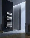 Calorifer portprosop MOON CHROME 1200×500 – crom