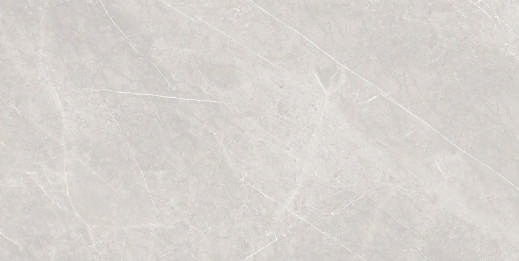 Gresie portelanata Dorado Silver 60x120cm