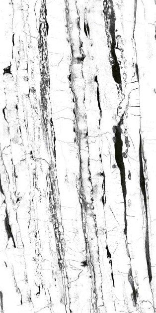 Gresie portelanata Regal Jelisca White - lucios 60x120 cm