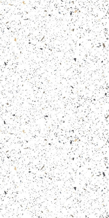 Gresie portelanata Terrazzo Bianco 60x120 cm