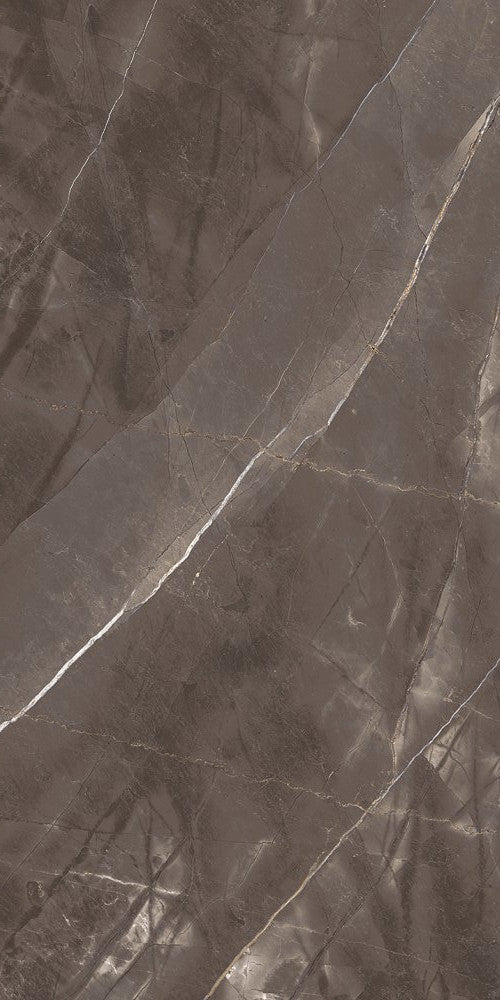 Gresie space brown polished 60x120cm