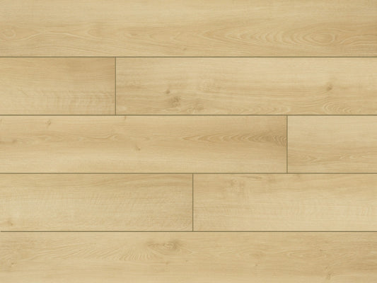 Parchet Classen Story 55234 12mm