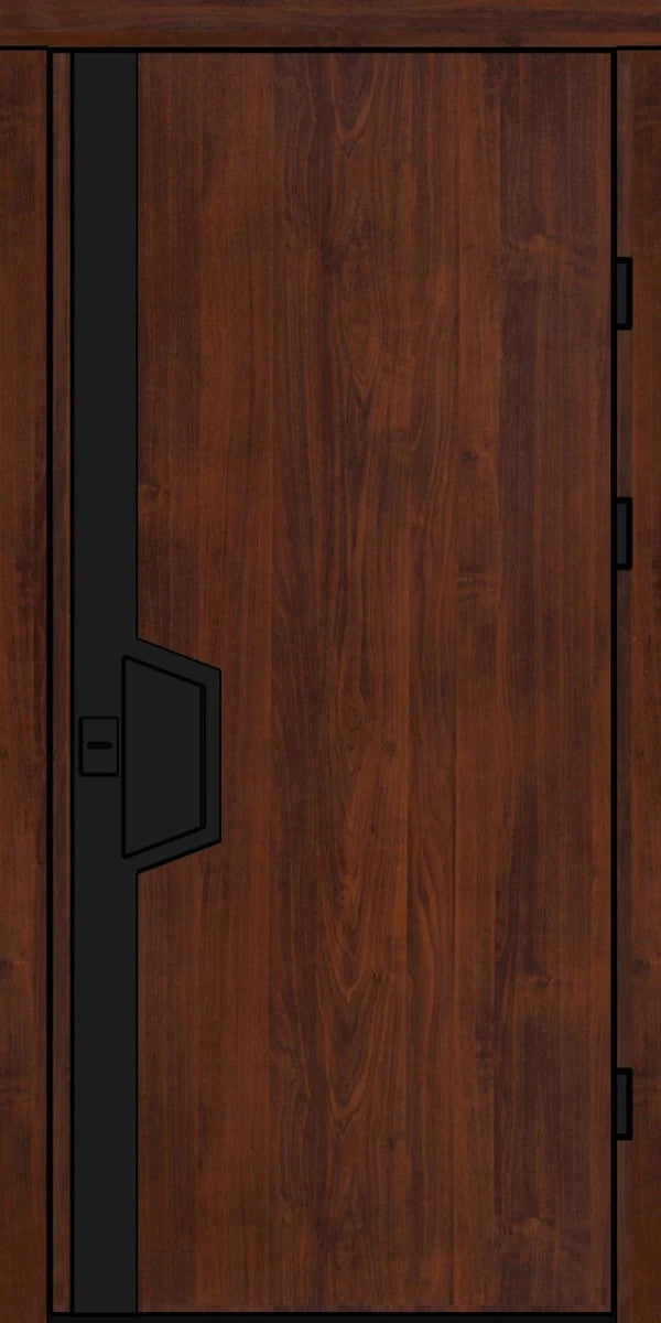 Usa metalica apartament Astra