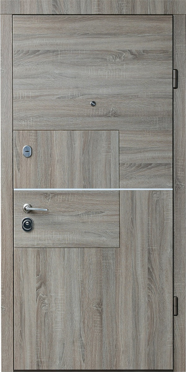 Usa metalica apartament Quadro