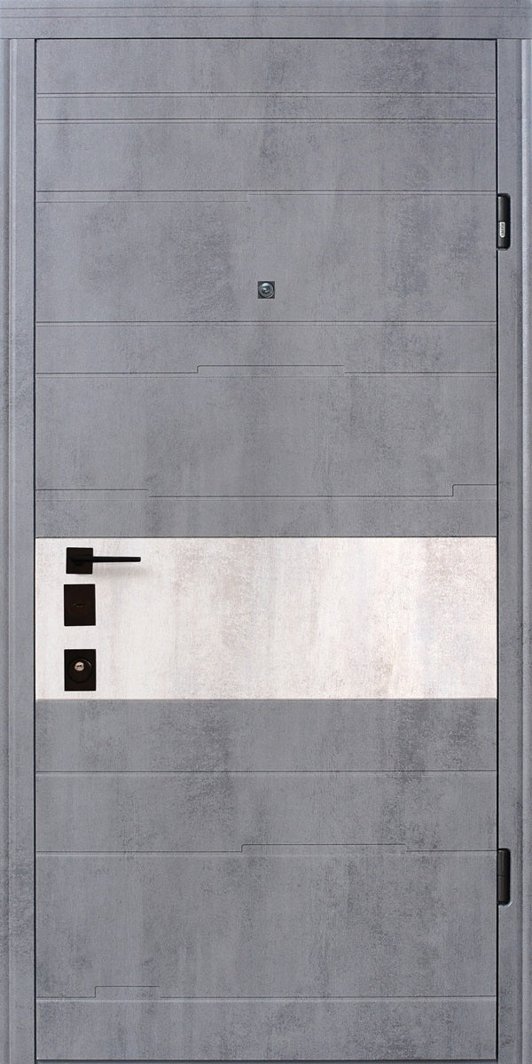 Usa metalica apartament Tempo