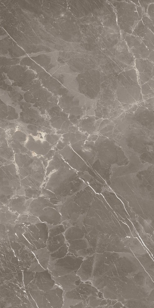 Gresie Portelanata Champion Grey 80X160