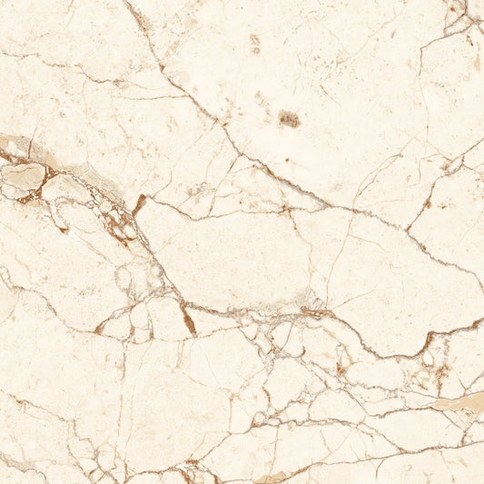 Gresie Portelanata Olive Crema 80X80