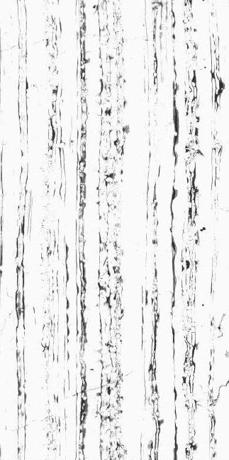 Gresie portelanata Pearl Portro - lucios 60x120 cm