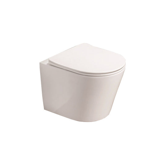 Set vas wc suspendat, Fluminia, Clementina, cu capac quick release si soft close, alb